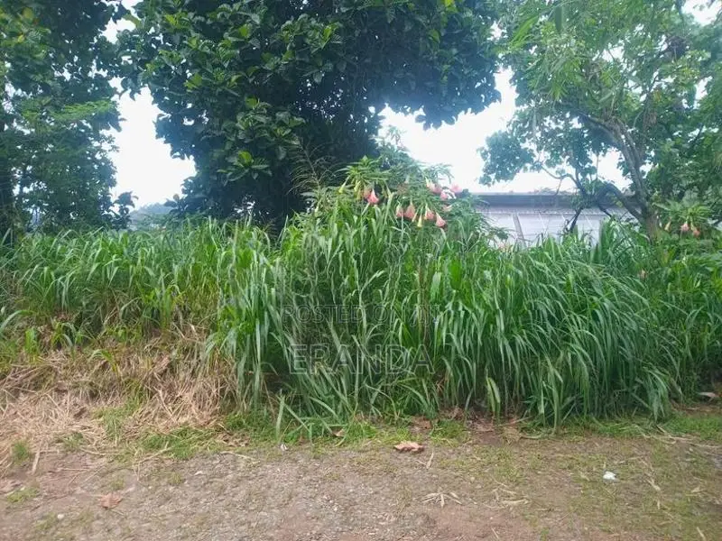 20 Perch Land for Sale in Kandy