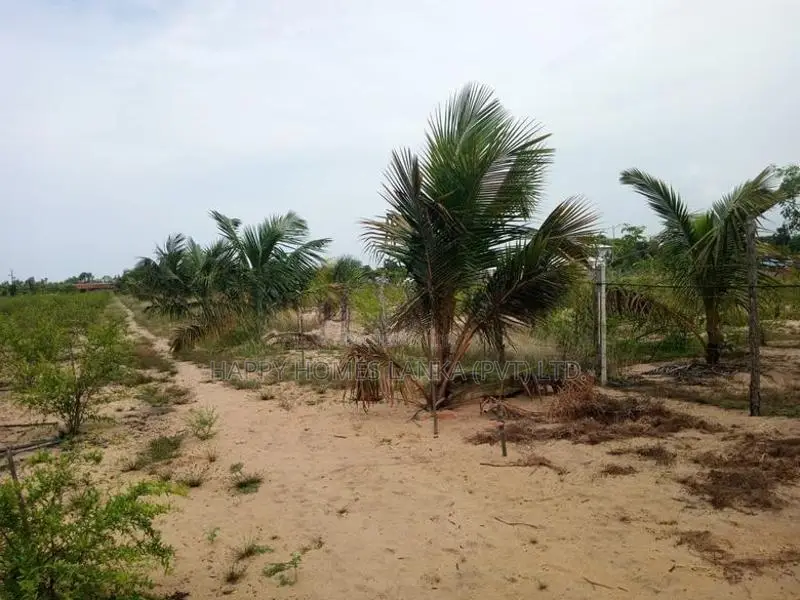 HHL1141-Land for sale in Mayilampaveli