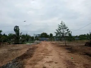 HHL1141-Land for sale in Mayilampaveli