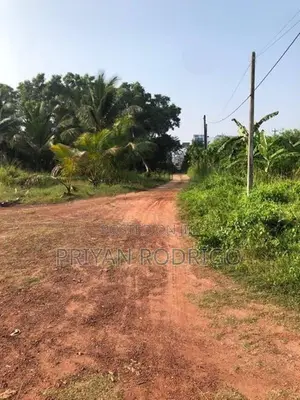 Ja-Ela 44 Perches of Commercial Land for Sale