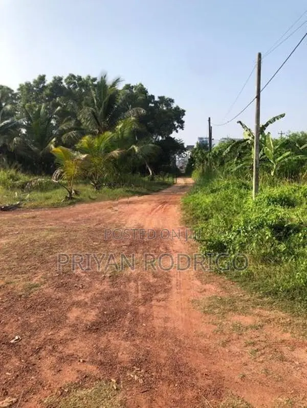Ja-Ela 44 Perches of Commercial Land for Sale