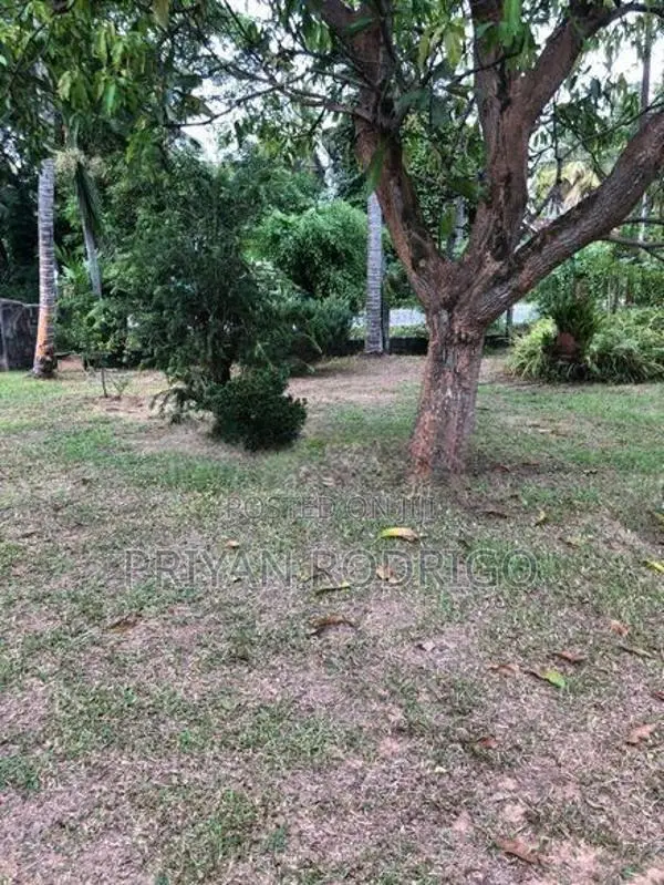 Ja-Ela 44 Perches of Commercial Land for Sale