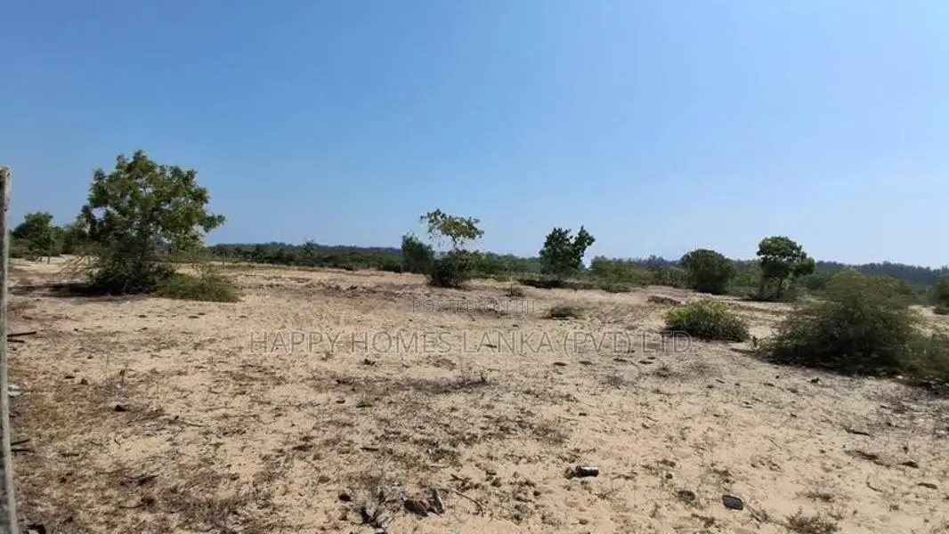 HHL1161 - Land for Sale Kurukkalmadam