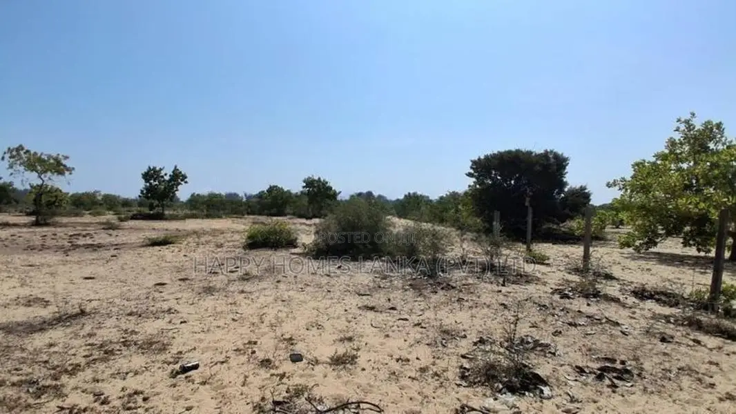 HHL1161 - Land for Sale Kurukkalmadam