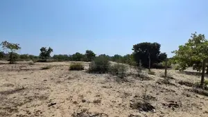 HHL1161 - Land for Sale Kurukkalmadam