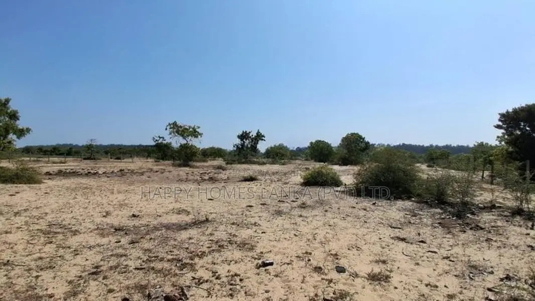 HHL1161 - Land for Sale Kurukkalmadam
