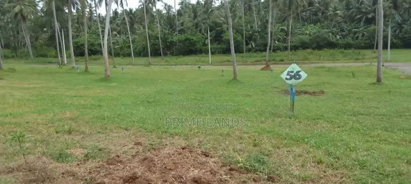 Land In Diulapitiya Divulapitiya