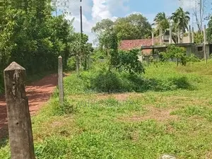 පානදුර, අලුබෝමුල්ල පර්චස් 14ක ඉඩම විකිණීමට
