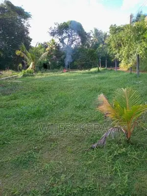 පානදුර, අලුබෝමුල්ල පර්චස් 14ක ඉඩම විකිණීමට