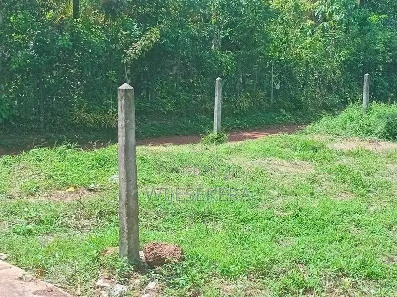 පානදුර, අලුබෝමුල්ල පර්චස් 14ක ඉඩම විකිණීමට