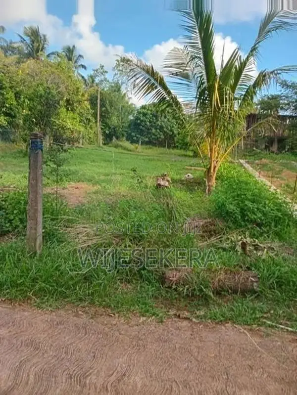 පානදුර, අලුබෝමුල්ල පර්චස් 14ක ඉඩම විකිණීමට