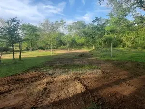Land For Sale IN Katharagama Kataragama
