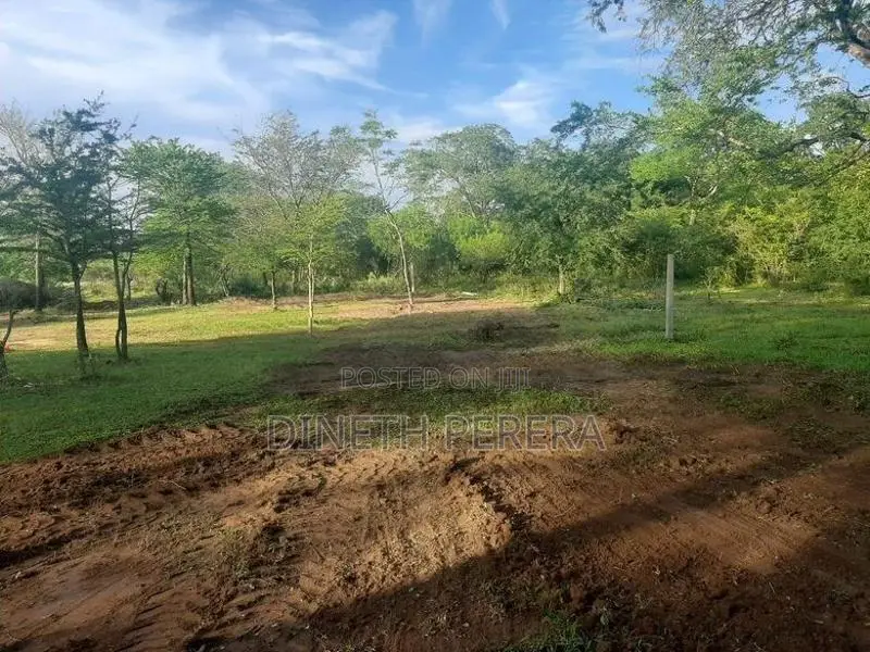 Land For Sale IN Katharagama Kataragama