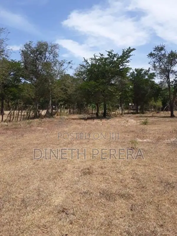Land For Sale IN Katharagama Kataragama