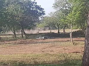 Land For Sale IN Katharagama Kataragama