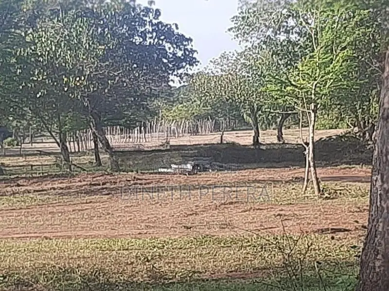 Land For Sale IN Katharagama Kataragama