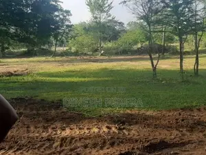 Land For Sale IN Katharagama Kataragama