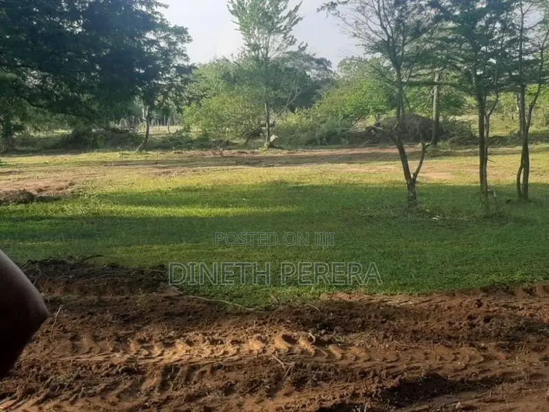 Land For Sale IN Katharagama Kataragama