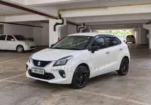 Suzuki Baleno 2019 Car (Used)