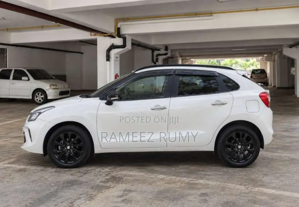 Suzuki Baleno 2019 Car (Used)
