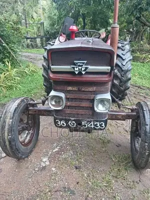 Massey-Ferguson 135 DL 1980 Tractor (Used)