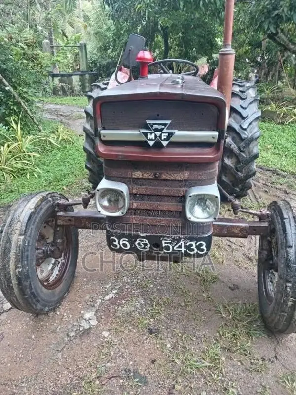 Massey-Ferguson 135 DL 1980 Tractor (Used)