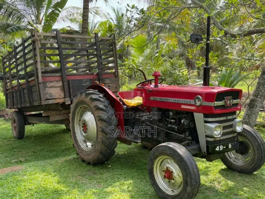 Massey-Ferguson 135 DL 1995 Tractor (Used)