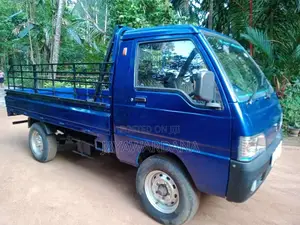 Foton Double 2011 Lorry (Used)