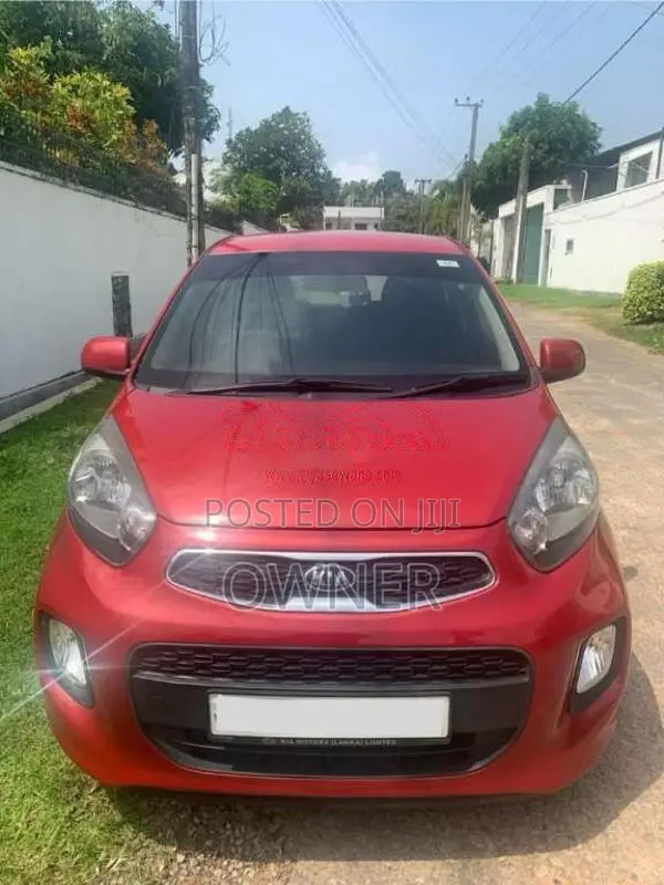 Kia Picanto 2016 Car (Used)