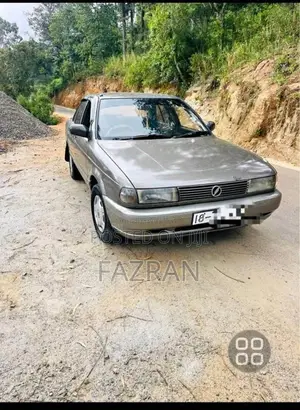 Nissan FB13 1991 Car (Used)