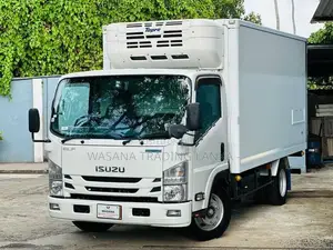 Isuzu Elf Freezer 2019