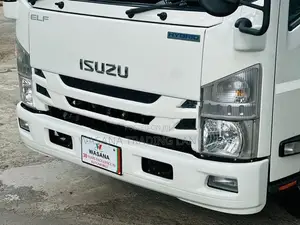 Isuzu Elf Freezer 2019