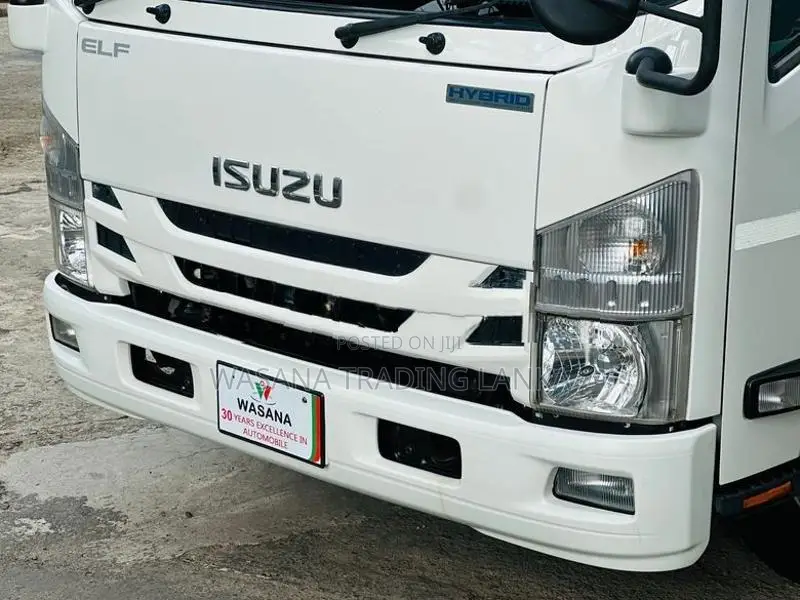 Isuzu Elf Freezer 2019