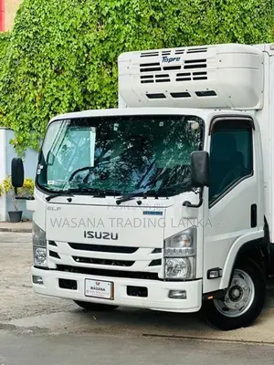 Isuzu Elf Freezer 2019