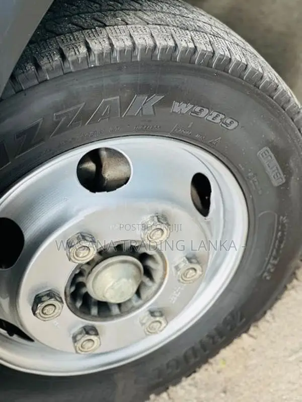 Isuzu Elf Freezer 2019
