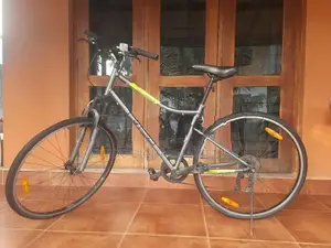 X2 Cross Bicycle