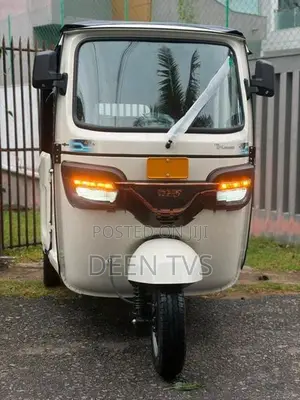 TVS King EV 2026