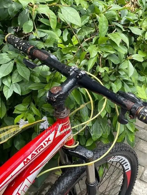 Bicycle