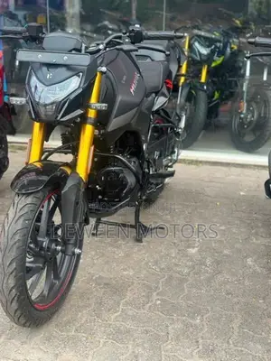 Hero Hunk 160R Brand New 2026