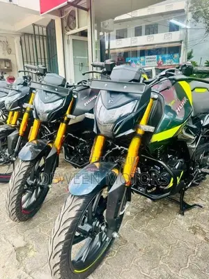 Hero Hunk 160R Brand New 2026