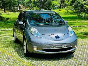 Nissan Leaf 2014