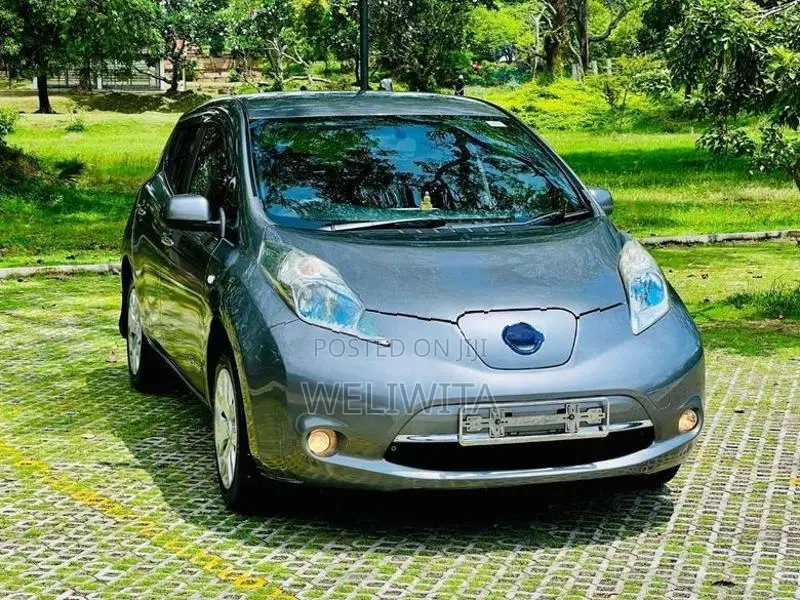 Nissan Leaf 2014