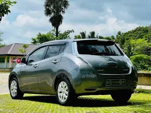 Nissan Leaf 2014
