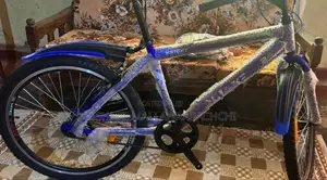 DSI Bicycle