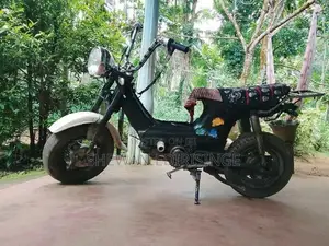 Honda Chaly 1993