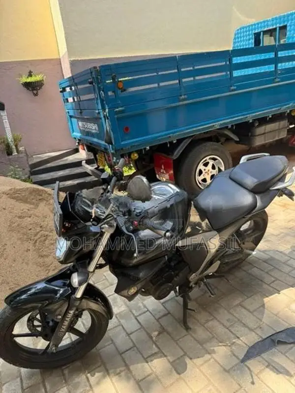 Yamaha FZ V2 2018