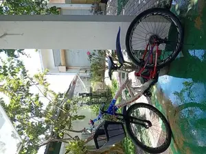 Tomahawk Adult Multigear Mountain