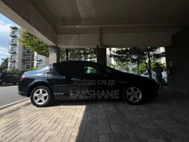 Peugeot 407 2007