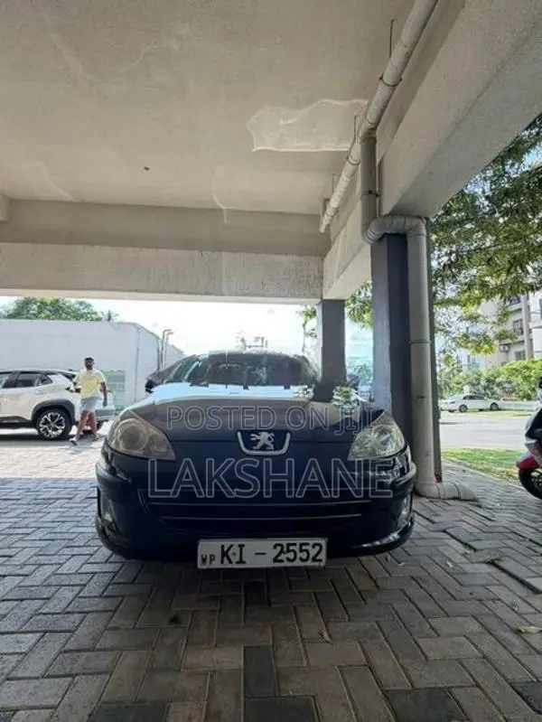 Peugeot 407 2007