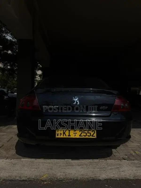 Peugeot 407 2007
